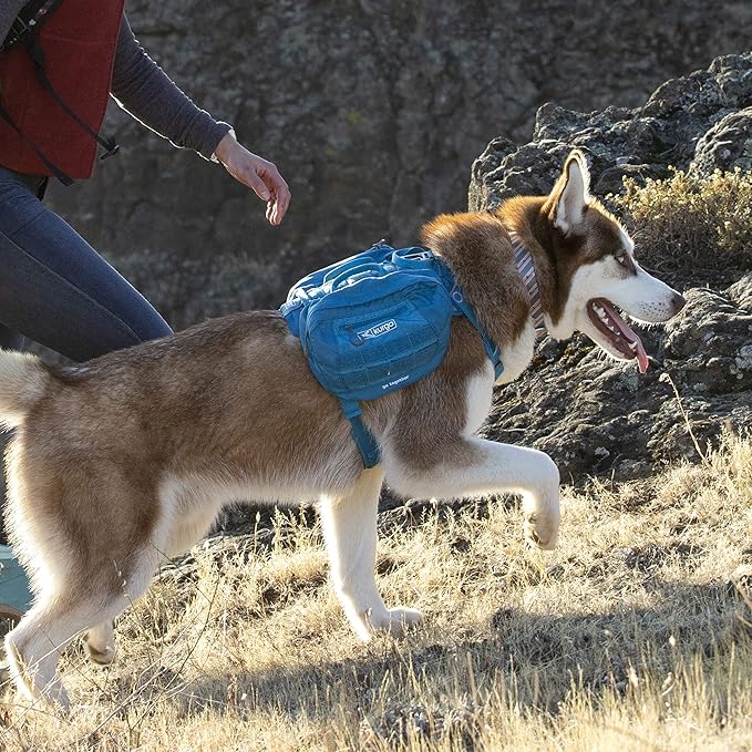 Kurgo Backpack Dog Harness Pack Add-Ons, Tactical Molle Pouch for Harnesses, Detachable Service Dog Pouches, RSG Pack Pannier (Coastal Blue)