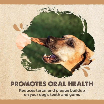 Mighty Paw Half Pig Ears Dog Chews | Natural Single-Ingredient Pork Treats | For All Breeds | 12 Count
