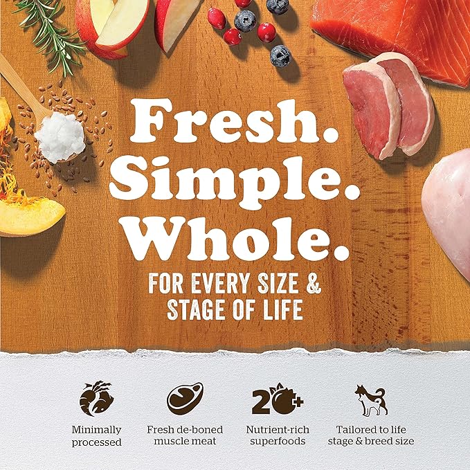 Now Fresh Grain Free Puppy Food, 3.5 lb - Dry Dog Food Recipe for Puppies - Real Meat and Fish for Protein - Healthy Diet for Small, Medium and Large Breed Dogs