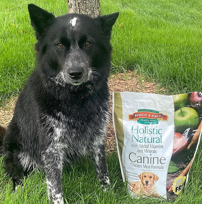 Bench & Field Holistic Natural Adult Dry Dog Food, Chicken Meal and Brown Rice Recipe 6.6 lb Bag (Pack of 1)